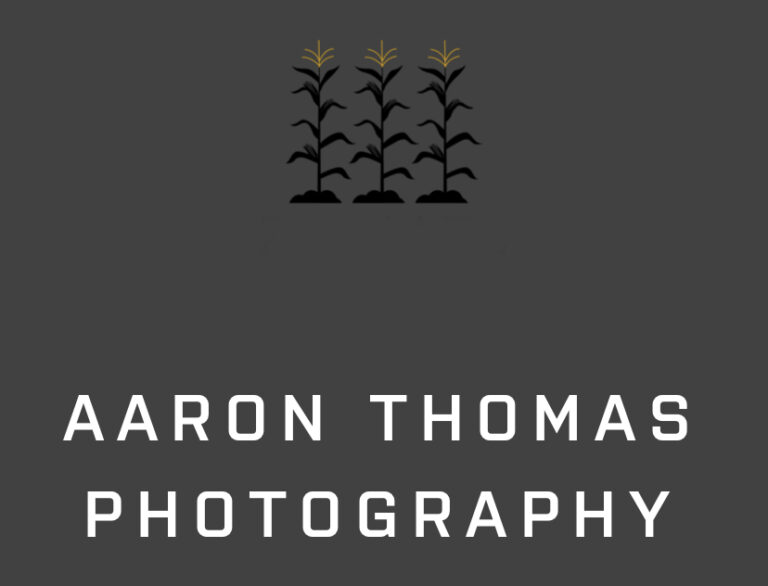 8D432A25 BD3F 4269 AFDD 66025ECDB034 768x586